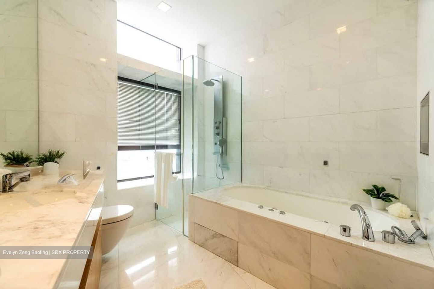 Belle Vue Residences (D9), Condominium #597662591